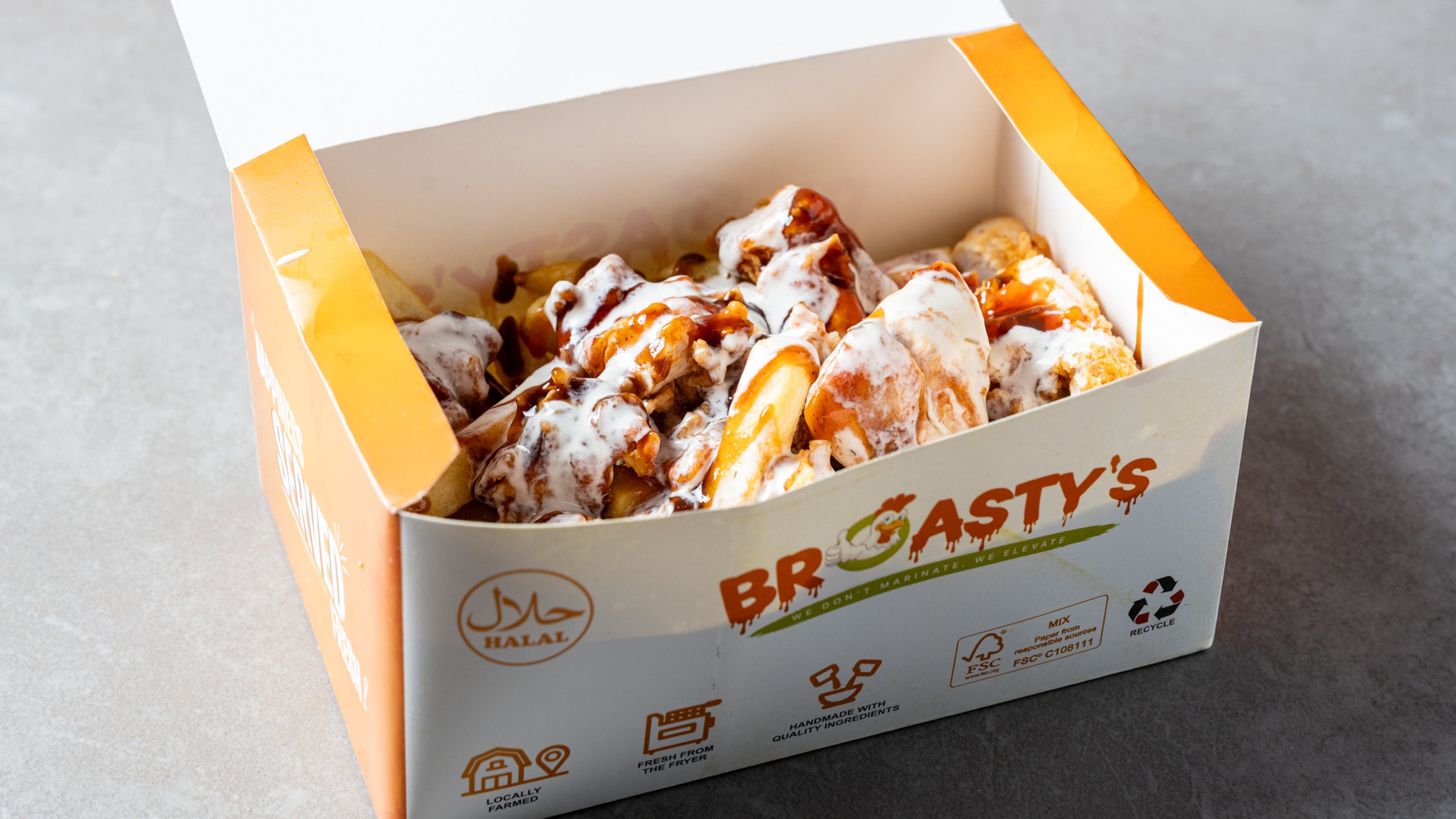 Loaded Fries